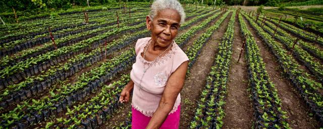 Impulsar la igualdad de género en la tenencia de tierras empoderaría a las mujeres y les proporcionaría una mayor influencia en la toma de decisiones relativas al uso de la tierra. En la imagen: Luz Evelia Godines Solano, productora de café de Nicaragua.