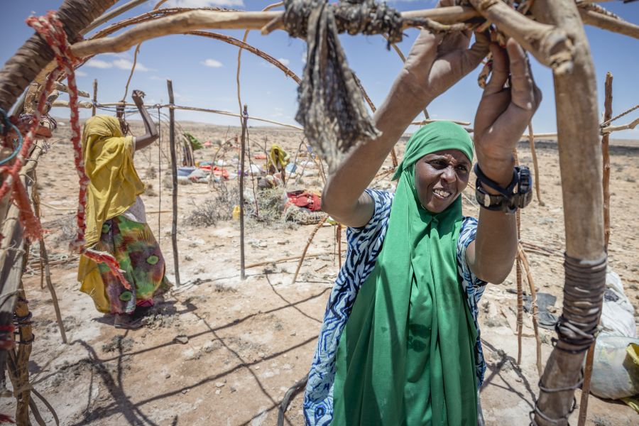 Farhia vino aquí junto con su hija de cuatro años, Zeinab,  su madre y el resto de su familia con la esperanza de encontrar nuevos pastos para los pocos animales que tienen a su cuidado.
