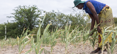Women farmer in her field farming